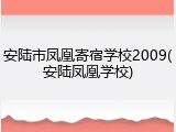 安陆市凤凰寄宿学校2009(安陆凤凰学校)