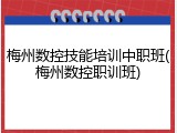 梅州数控技能培训中职班(梅州数控职训班)