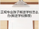 正规专业孩子叛逆学校怎么办(叛逆学校推荐)
