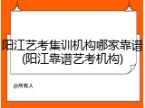 阳江艺考集训机构哪家靠谱(阳江靠谱艺考机构)