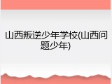 山西叛逆少年学校(山西问题少年)