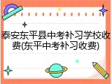 泰安东平县中考补习学校收费(东平中考补习收费)
