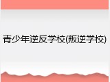 青少年逆反学校(叛逆学校)