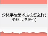 少林学校武术技校怎么样(少林武校评价)