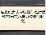 东北电力大学校徽什么时候改的呀(东北电力校徽何时改)