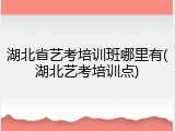 湖北省艺考培训班哪里有(湖北艺考培训点)