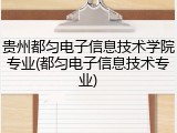 贵州都匀电子信息技术学院专业(都匀电子信息技术专业)