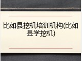 比如县挖机培训机构(比如县学挖机)