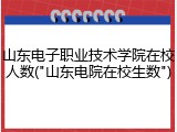 山东电子职业技术学院在校人数("山东电院在校生数")