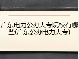 广东电力公办大专院校有哪些(广东公办电力大专)