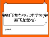 安徽飞龙杂技武术学校(安徽飞龙武校)