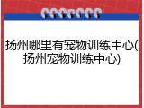 扬州哪里有宠物训练中心(扬州宠物训练中心)