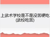 上武术学校是不是没苦硬吃(武校吃苦)