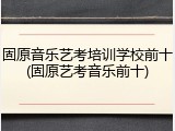 固原音乐艺考培训学校前十(固原艺考音乐前十)