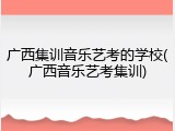 广西集训音乐艺考的学校(广西音乐艺考集训)