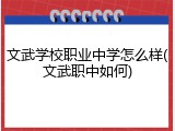 文武学校职业中学怎么样(文武职中如何)