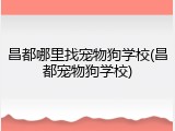 昌都哪里找宠物狗学校(昌都宠物狗学校)