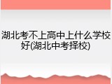 湖北考不上高中上什么学校好(湖北中考择校)