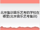 北京集训音乐艺考的学校在哪里(北京音乐艺考集训)