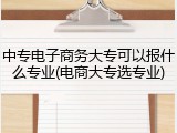 中专电子商务大专可以报什么专业(电商大专选专业)