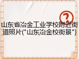 山东省冶金工业学校附近街道照片("山东冶金校街景")