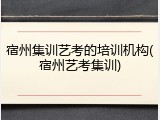宿州集训艺考的培训机构(宿州艺考集训)