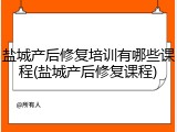 盐城产后修复培训有哪些课程(盐城产后修复课程)