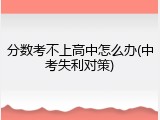 分数考不上高中怎么办(中考失利对策)