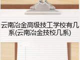 云南冶金高级技工学校有几系(云南冶金技校几系)