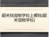 韶关找宠物学校上哪找(韶关宠物学校)