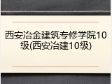 西安冶金建筑专修学院10级(西安冶建10级)