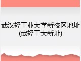 武汉轻工业大学新校区地址(武轻工大新址)