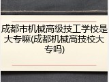 成都市机械高级技工学校是大专嘛(成都机械高技校大专吗)