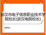 武汉市电子信息职业技术学院校长(武汉电院校长)