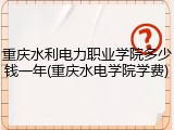 重庆水利电力职业学院多少钱一年(重庆水电学院学费)