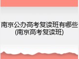 南京公办高考复读班有哪些(南京高考复读班)