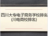 四川大专电子商务学校排名(川电商校排名)