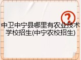 中卫中宁县哪里有农业技术学校招生(中宁农校招生)