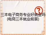 三本电子商务专业好就业吗(电商三本就业前景)