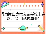 河南嵩山少林文武学校上完以后(嵩山武校毕业)