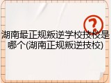 湖南最正规叛逆学校技校是哪个(湖南正规叛逆技校)