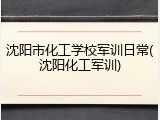 沈阳市化工学校军训日常(沈阳化工军训)