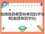 陇南徽县哪里有单招的学校啊(徽县单招学校)