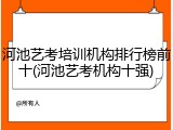 河池艺考培训机构排行榜前十(河池艺考机构十强)
