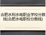 合肥水利水电职业学校分数线(合肥水电职校分数线)