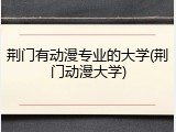 荆门有动漫专业的大学(荆门动漫大学)