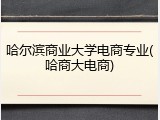 哈尔滨商业大学电商专业(哈商大电商)