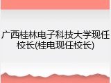 广西桂林电子科技大学现任校长(桂电现任校长)