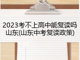 2023考不上高中能复读吗山东(山东中考复读政策)