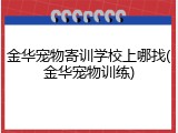 金华宠物寄训学校上哪找(金华宠物训练)